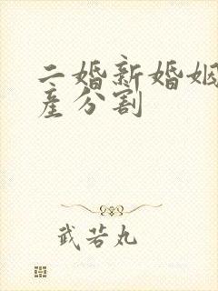 二婚新婚姻法房产分割