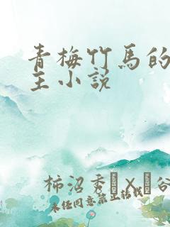 青梅竹马的双男主小说