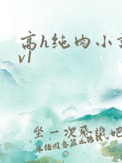 高h纯肉小说1v1