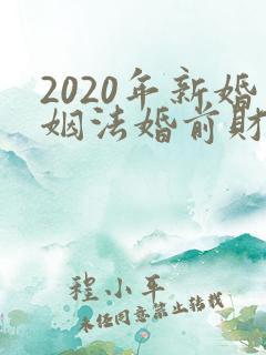 2020年新婚姻法婚前财产