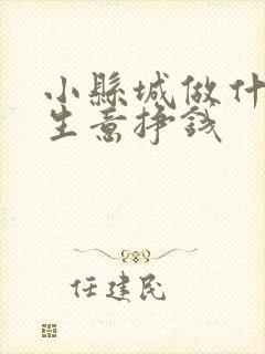 小县城做什么小生意挣钱