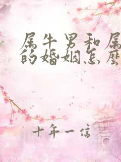 属牛男和属牛女的婚姻怎么样