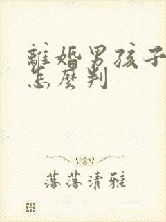 离婚男孩子5岁怎么判