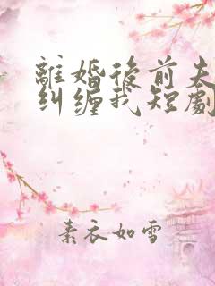 离婚后前夫总想纠缠我短剧免费观看