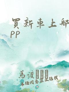 买新车上哪个app