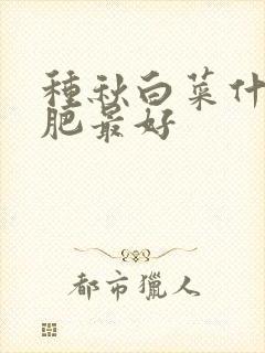 种秋白菜什么底肥最好