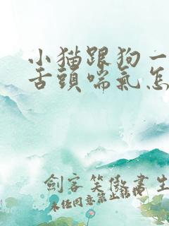 小猫跟狗一样吐舌头喘气怎么回事