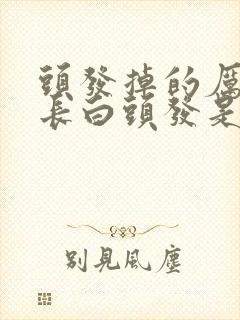 头发掉的厉害还长白头发是什么原因 头发掉的厉害还长白头发是什么原因
