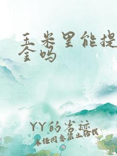 玉米里能提炼黄金吗