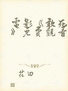 电影《敢死队5》免费观看