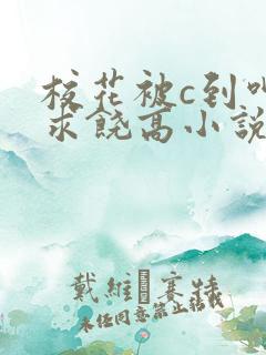 校花被c到呻吟求饶高小说