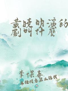 黄晓明演的谍战剧叫什么