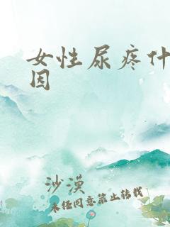 女性尿疼什么原因