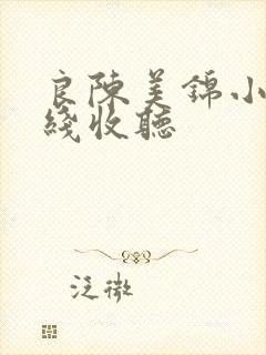 良陈美锦小说在线收听