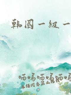 韩国一级一级片