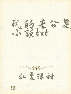 我的老公是冥王小说txt