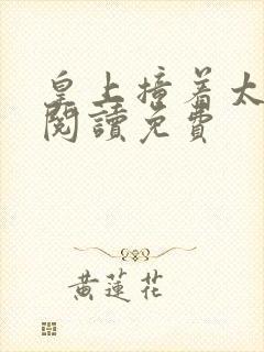 皇上撞着太子妃阅读免费