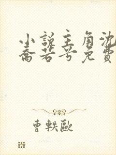 小说主角沈辞安乔若兮免费阅读