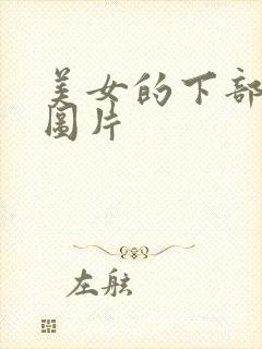 美女的下部真人图片