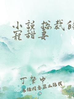 小说 总裁的独宠甜妻