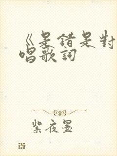 《是错是对》原唱歌词
