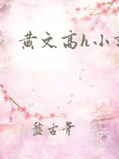黄文高h小说