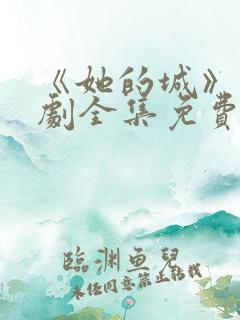 《她的城》电视剧全集免费观看