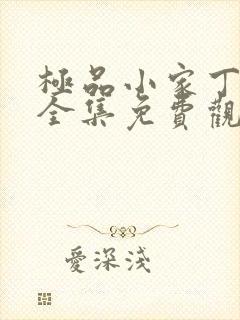 极品小家丁短剧全集免费观看