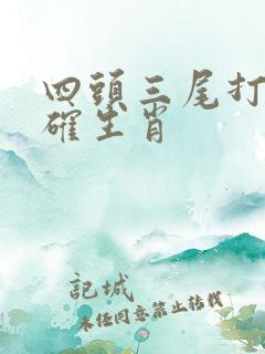 四头三尾打一准确生肖