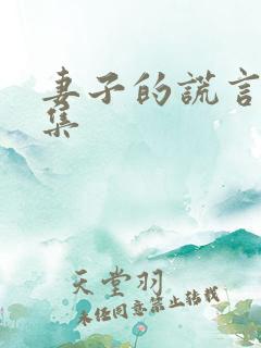 妻子的谎言53集