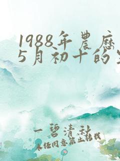 1988年农历5月初十的生辰八字