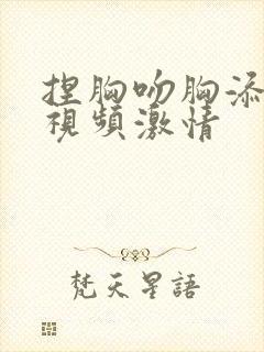 捏胸吻胸添奶头视频激情