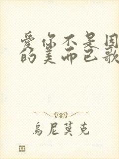爱你不是因为你的美而已歌词