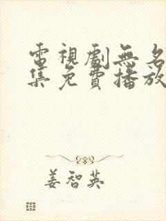 电视剧无名者全集免费播放