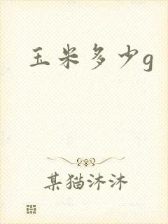玉米多少g