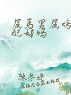 属马男属鸡女婚配好吗