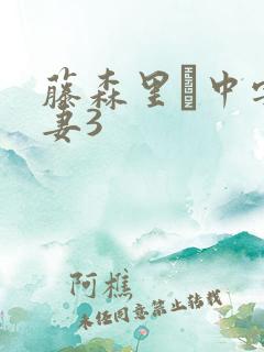 藤森里穂中字人妻3