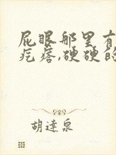 屁眼那里有一个疙瘩,硬硬的疼 屁眼那里有一个疙瘩,硬硬的疼
