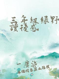 三年级绿野仙踪读后感