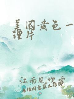 美国黄色一级伦理片
