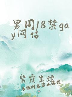 男同18禁gay网站 男同18禁gay网站