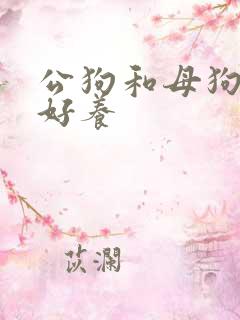 公狗和母狗哪个好养