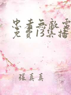 忠者无敌电视剧免费13集播放下载