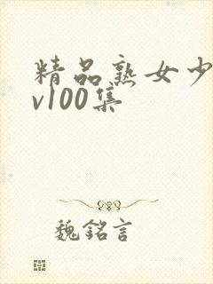 精品熟女少妇av100集