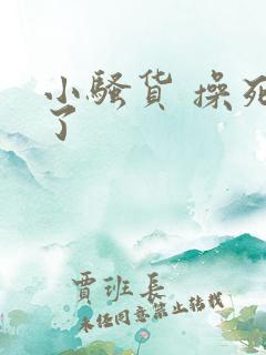 小骚货 操死我了