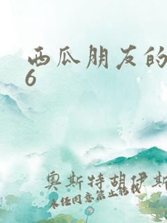 西瓜朋友的妈妈6