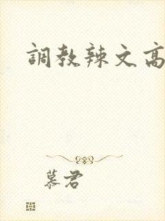 调教辣文高h 调教辣文高h