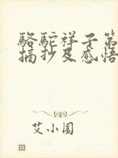 骆驼祥子第八章摘抄及感悟