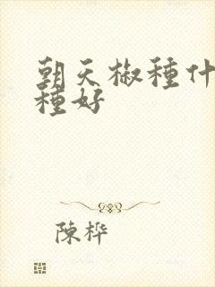 朝天椒种什么品种好