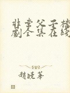 非常父子档电视剧全集在线观看
